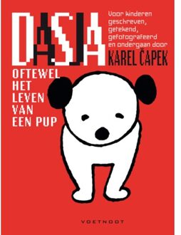 Voetnoot, Uitgeverij Dasja