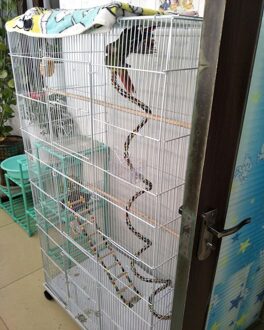 Vogel Speelgoed Opknoping Touw Baars Papegaai Roterend Voor Touw Bungee Vogel Speelgoed S vorm zabawki dla papugi C