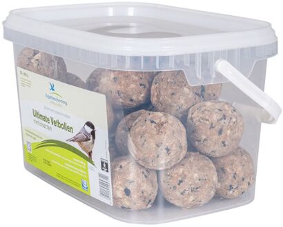 Vogelbescherming Vetbollen - Met insecten - 30 stuks