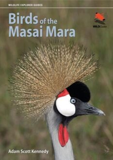 Vogelgids Birds of the Masai Mara | Princeton University Press