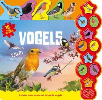 Vogels - 10-geluidenboek - Rebo Productions B.V. (ISBN: 9789036649285)
