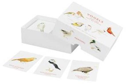 Vogels - Boek Christine Berrie (9021568950)