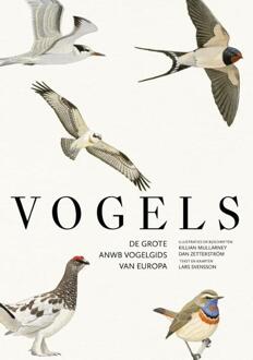 Vogels -  Dan Zetterström, Killian Mullarney, Lars Svensson (ISBN: 9789043940580)