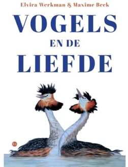 Vogels En De Liefde - Elvira Werkman