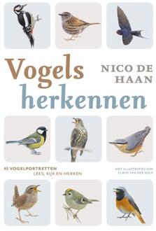 Vogels herkennen -  Elwin van der Kolk, Nico de Haan (ISBN: 9789043943000)