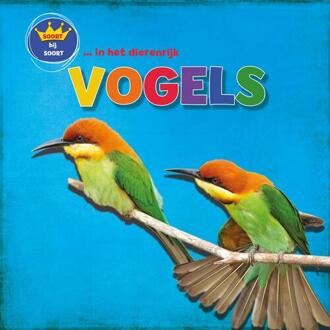 Vogels - Soort Bij Soort In Het Dierenrijk