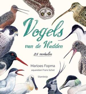 Vogels van de Wadden - (ISBN:9789083162997)