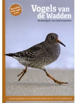 Vogels Van De Wadden - Marc Plomp