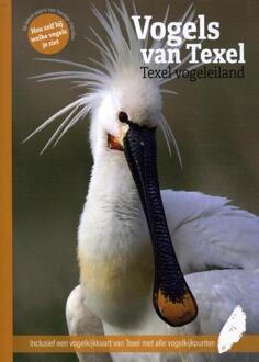 Vogels Van Texel - Marc Plomp