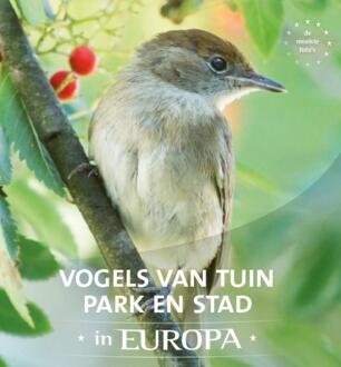 Vogels van tuin, park en stad in Europa - Boek Jaap Schelvis (903663086X)