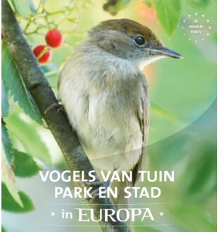 Vogels van tuin, park en stad in Europa - Boek Jaap Schelvis (903663086X)