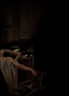 Voids -2023 Remaster- - Have A Nice Life