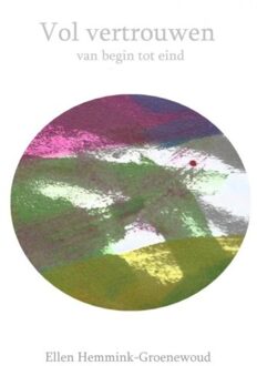 Vol vertrouwen - Boek Ellen Hemmink-Groenewoud (940211713X)
