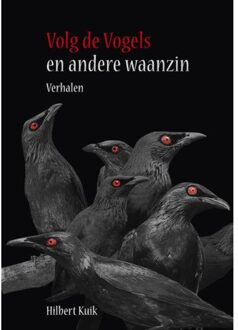 Volg de vogels - Boek Hilbert Kuik (9492020254)