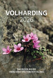 Volharding | 2026 -  Diverse Auteurs (ISBN: 9789085203674)