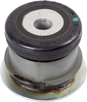 Volkswagen Achteraslichaamlager