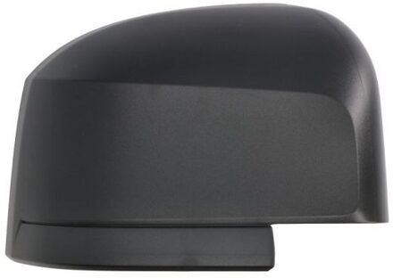 Volkswagen Afdekking, buitenspiegel 6103011999311P
