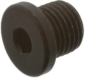 Volkswagen Afsluitschroef oliepan