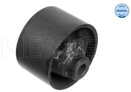 Volkswagen Aslichaam-/motorsteunlager 1001990030