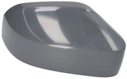 Volkswagen Behuizing, buitenspiegel 6103010104292P