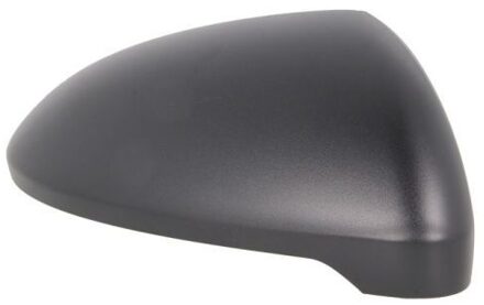 Volkswagen Behuizing, buitenspiegel 6103012002604P