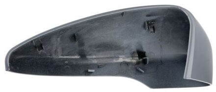 Volkswagen Behuizing, buitenspiegel 6103012002936P