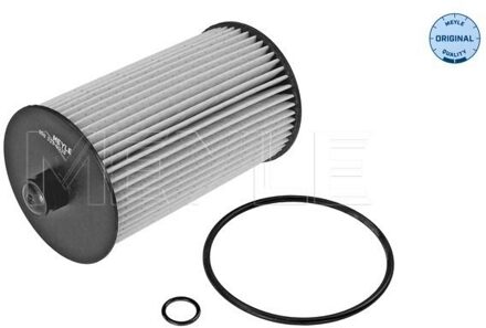 Volkswagen Brandstoffilter 1003230028