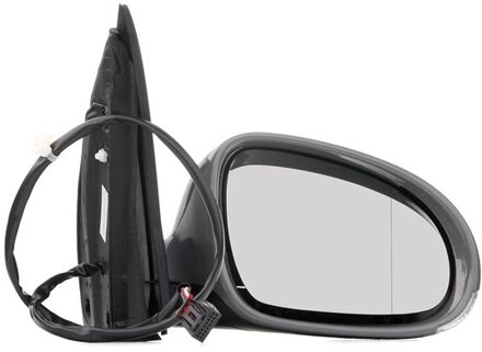 Volkswagen Buitenspiegel 2206324