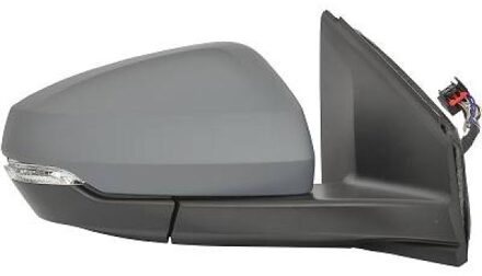 Volkswagen Buitenspiegel 2209324