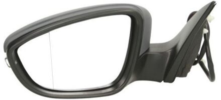 Volkswagen Buitenspiegel 540201049361P