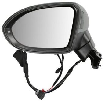 Volkswagen Buitenspiegel 5402011585310P