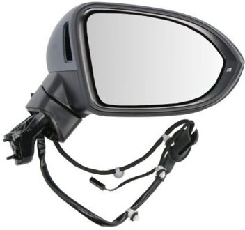 Volkswagen Buitenspiegel 5402011585311P