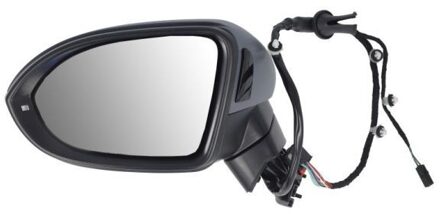 Volkswagen Buitenspiegel 5402011585312P