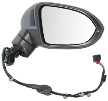 Volkswagen Buitenspiegel 5402011585313P