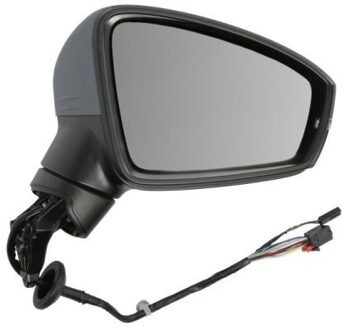 Volkswagen Buitenspiegel 5402011609313P