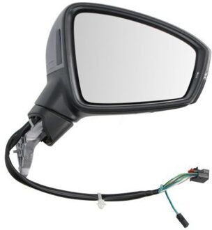 Volkswagen Buitenspiegel 5402011609315P