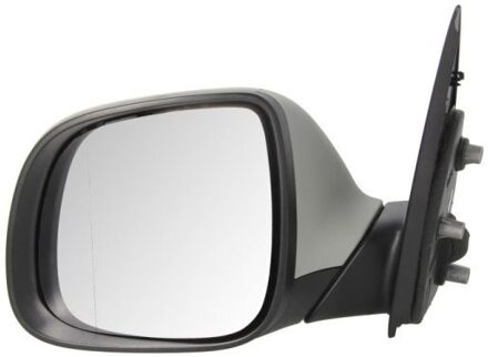 Volkswagen Buitenspiegel 5402012002561P