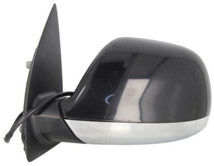 Volkswagen Buitenspiegel 5402012002563P