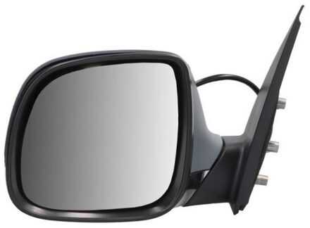 Volkswagen Buitenspiegel 5402012002567P