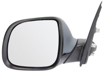 Volkswagen Buitenspiegel 5402012002569P
