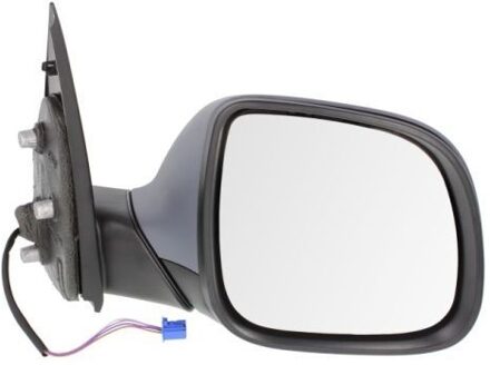 Volkswagen Buitenspiegel 5402012002570P