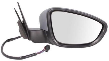 Volkswagen Buitenspiegel 5402012002580P