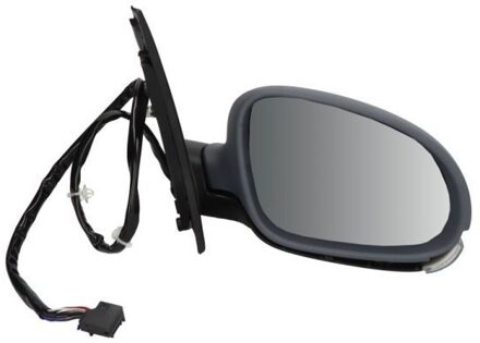 Volkswagen Buitenspiegel 5402012002628P