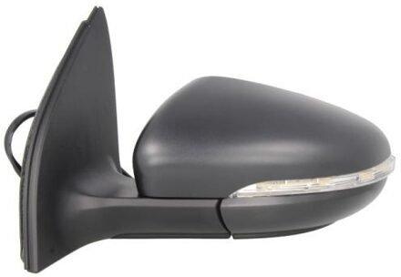 Volkswagen Buitenspiegel 5402012002631P