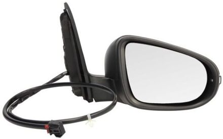 Volkswagen Buitenspiegel 5402012002632P