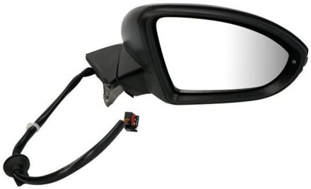 Volkswagen Buitenspiegel 5402012002644P