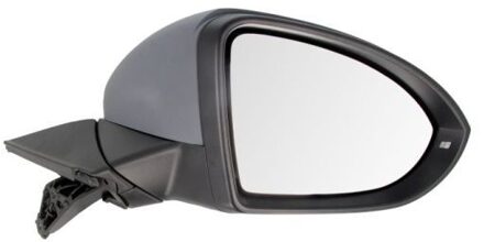 Volkswagen Buitenspiegel 5402012002650P
