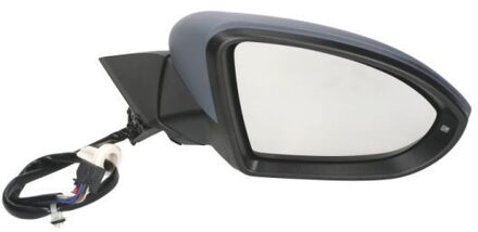 Volkswagen Buitenspiegel 5402012002654P