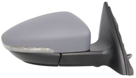 Volkswagen Buitenspiegel 5402012002658P