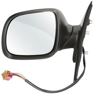 Volkswagen Buitenspiegel 5402012002663P